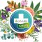 Annabis