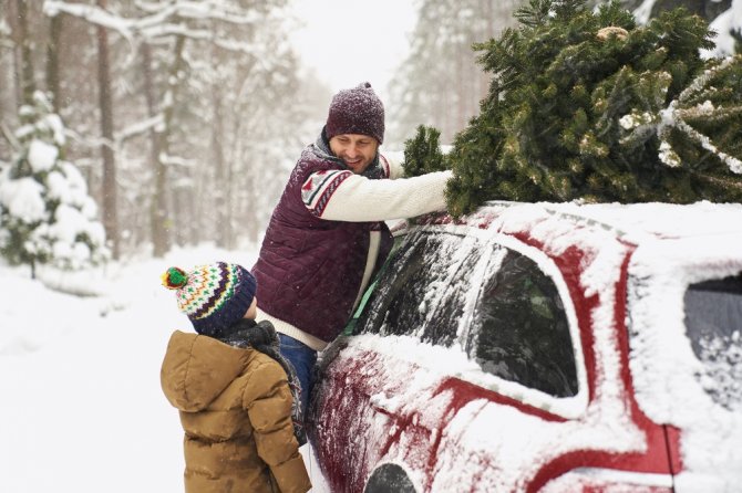 man-with-son-loading-christmas-tree-into-roof-of-c-2022-01-19-00-01-48-utc.jpg