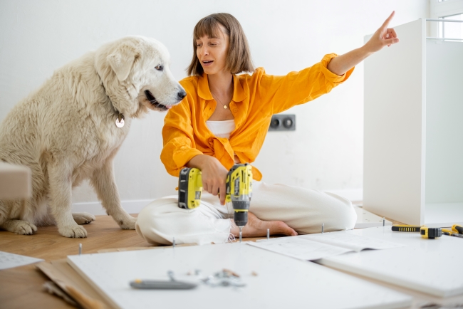 woman-assembles-furniture-at-home-with-dog-2022-08-10-23-53-32-utc.jpg