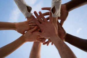 Nejlepší e-shopy pro sportovní vybavení: Kde nakoupit výhodně?