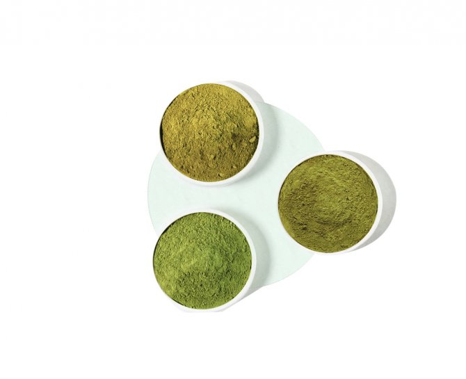 kratom-bird-slevovy-kod.jpg