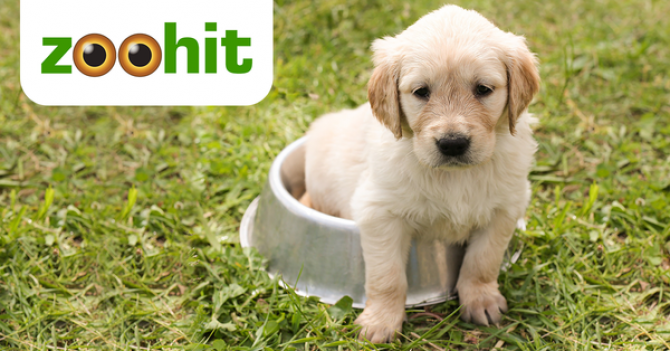 zoohit-sleva-akce-vyprodej.png