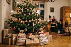 Tajné tipy, se kterými uděláte pod stromečkem radost