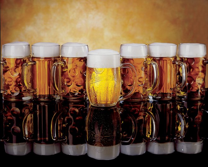 plzen-pivo-v-akci.jpg